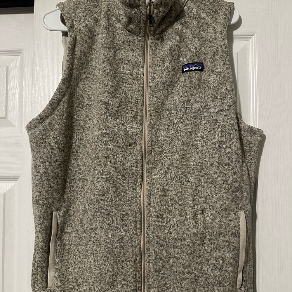 Patagonia Fleece Vest in Gray